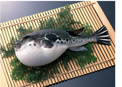 �L�㐅���@�Ƃ�ӂ�