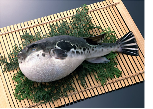 �L�㐅���@�Ƃ�ӂ�