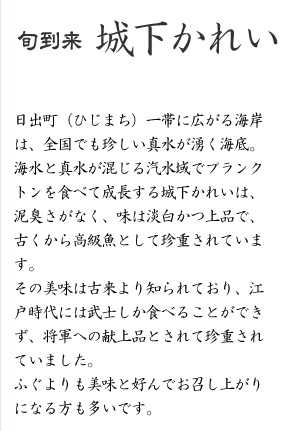 �{���� �鉺���ꂢ