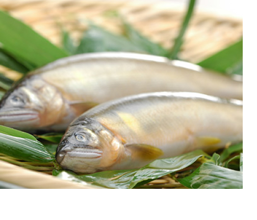 �{���� ��