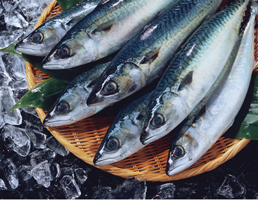 �{���� �ւ���