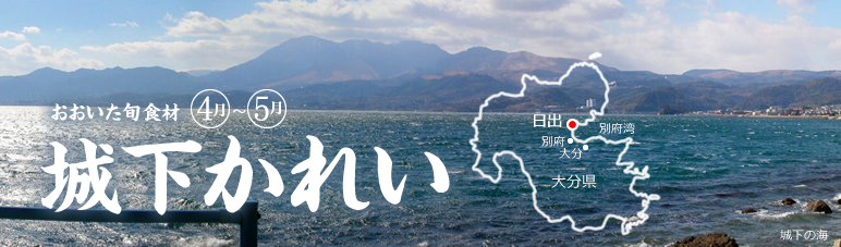 ���������{�H�ށ@5���y�鉺���ꂢ�z