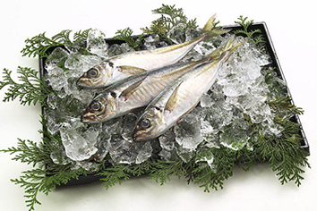 �啪�̊ֈ��i�ւ����j�C���[�W